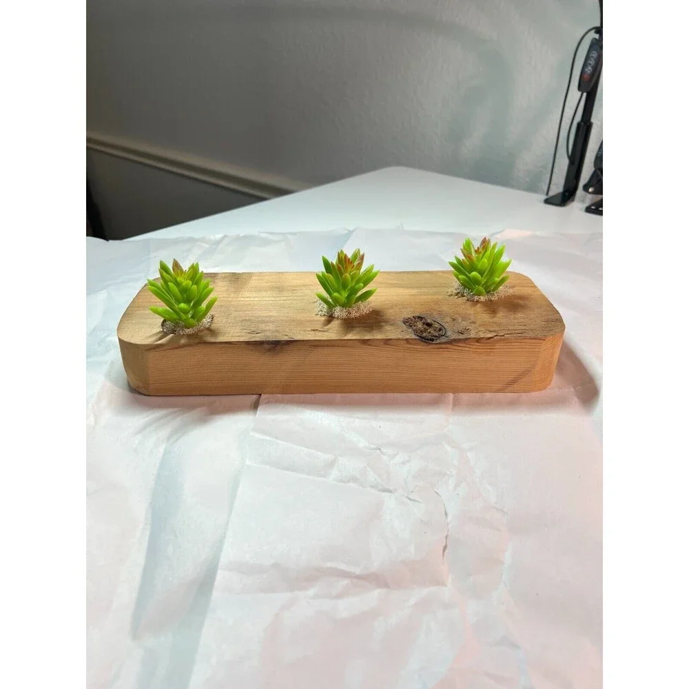 Handemade wood piece with faux succulents